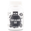 Healthwell Fenylalanin 500